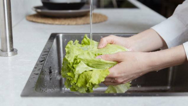 imagen El Comedor Universitario brindará capacitaciones internas sobre Higiene Alimentaria